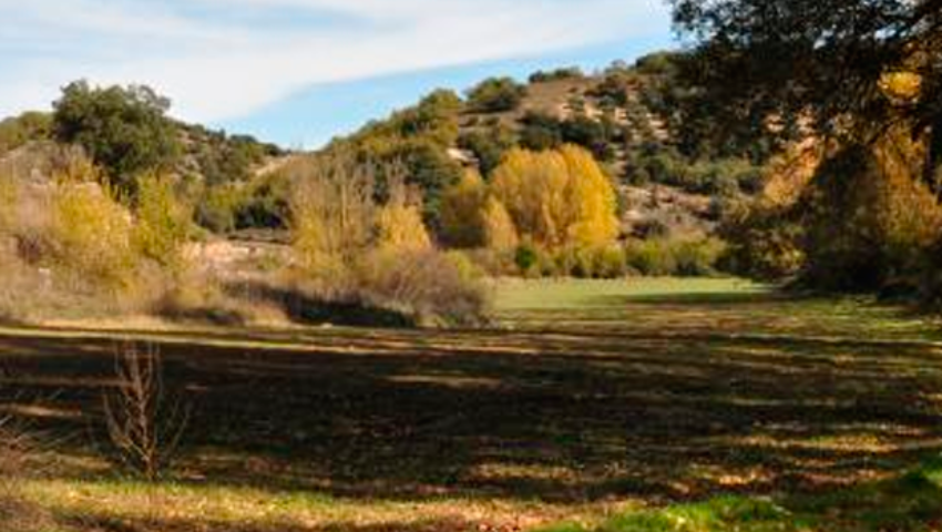 Paraje de los Roaero